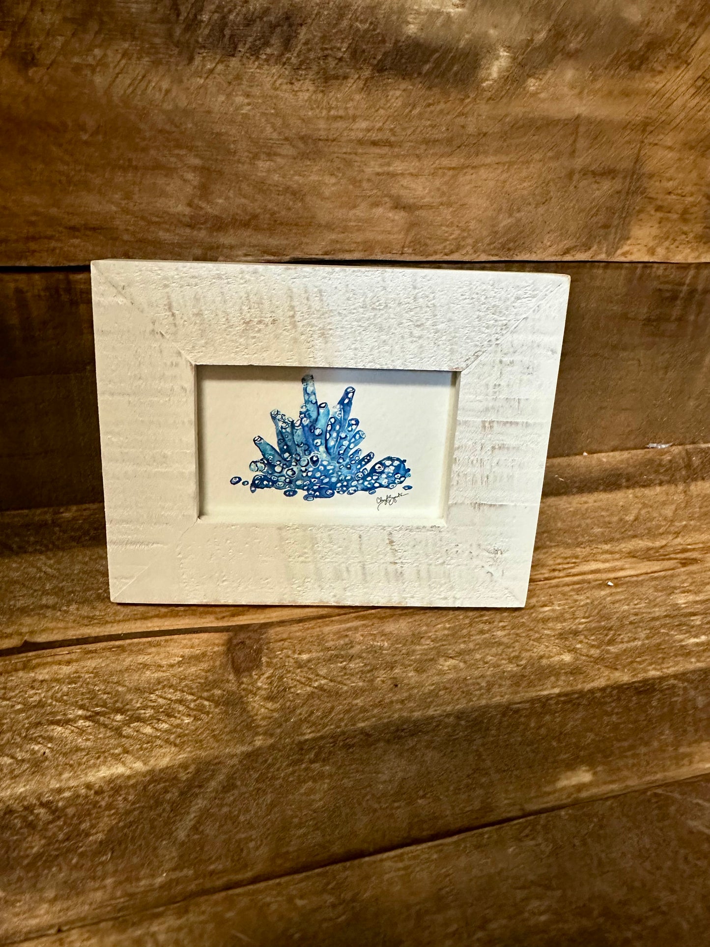 Blue Coral Mini