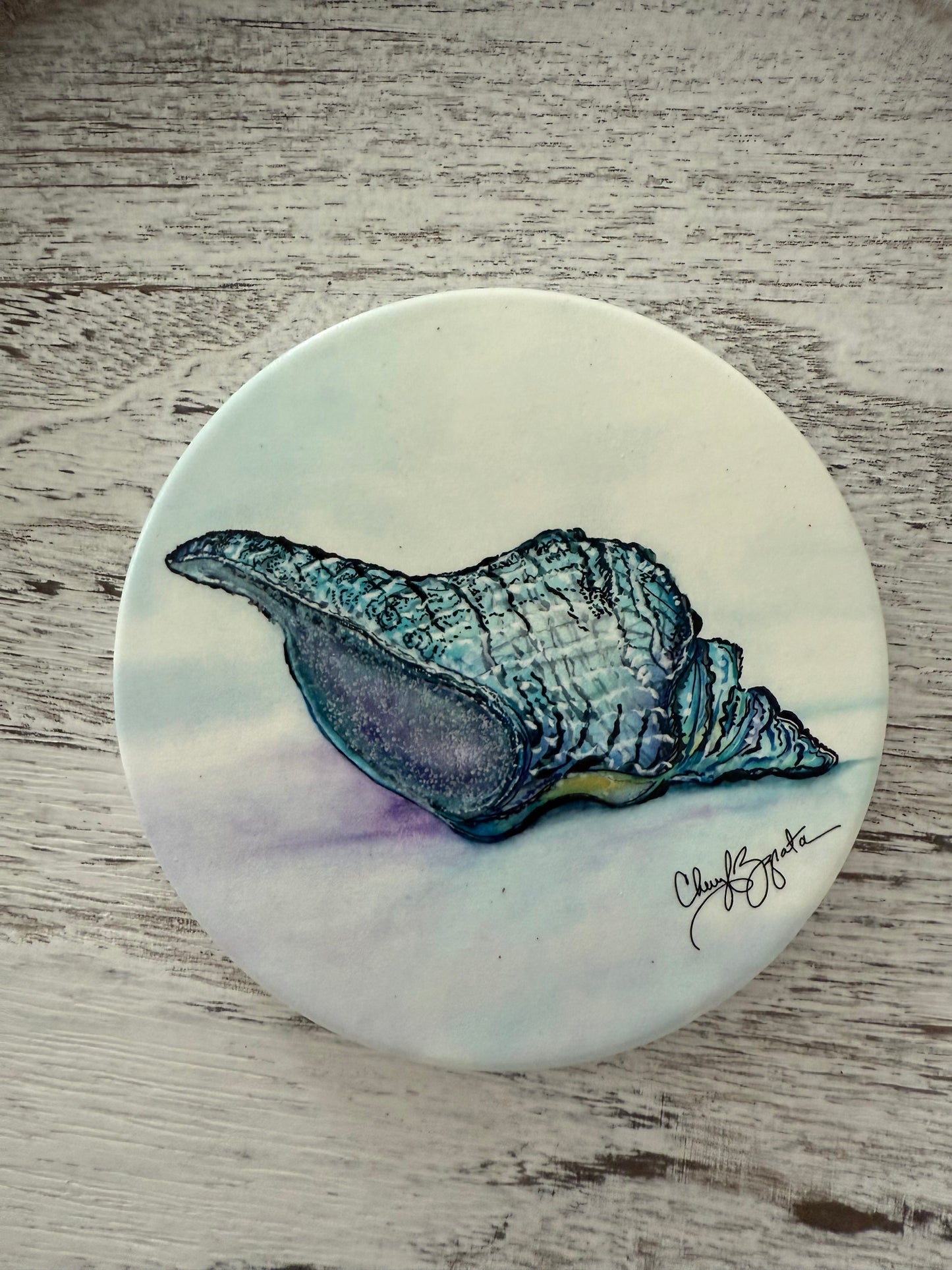 Whelk Round Coaster by Cheryl Zapata Art