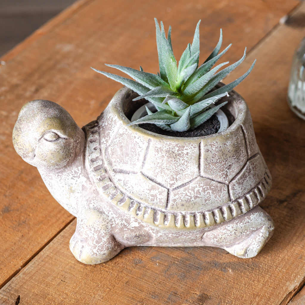 8" Turtle Cement Pot