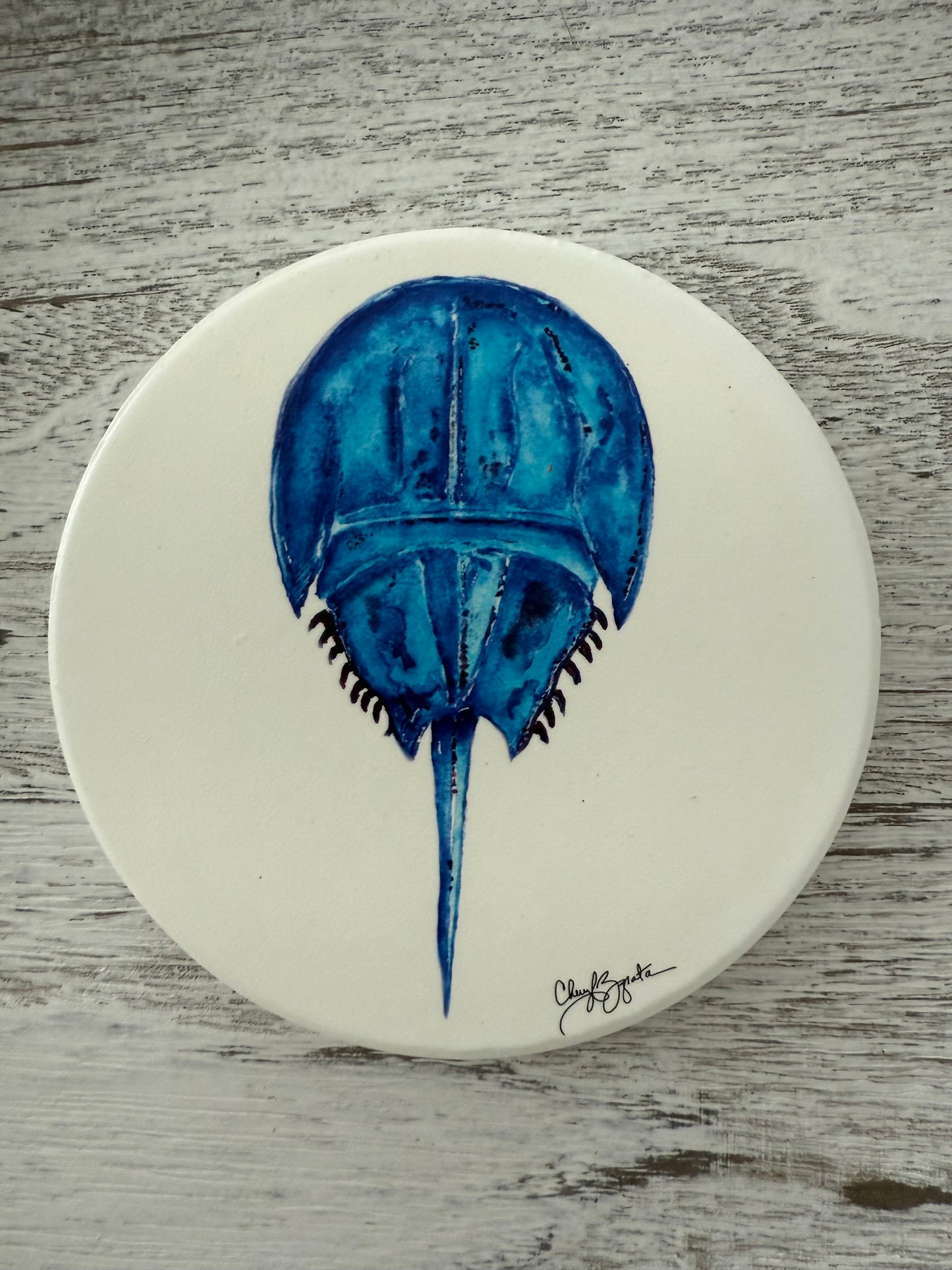 Horseshoe Crab Round Coaster by Cheryl Zapata Art
