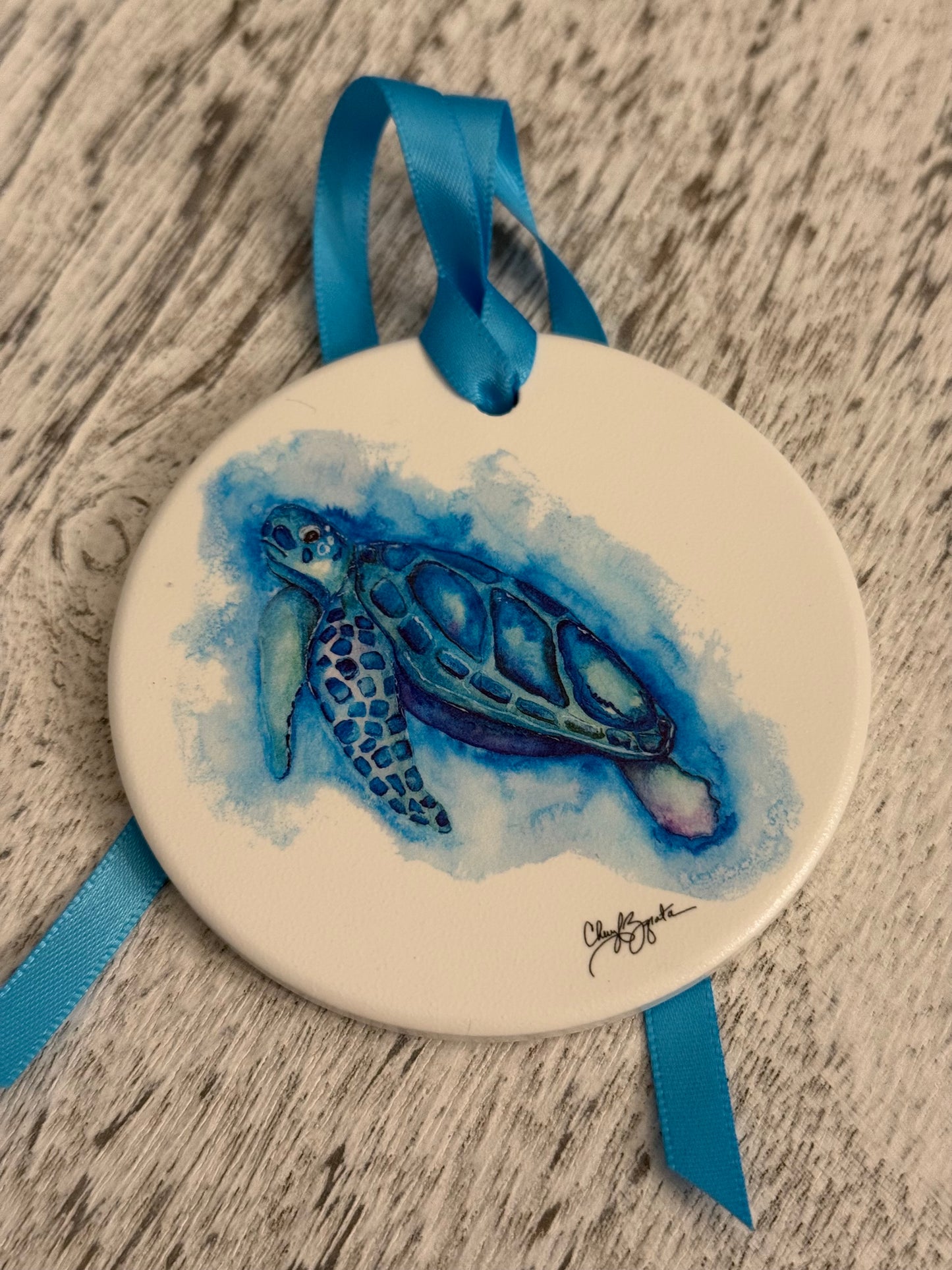 B/G Turtle Ornament