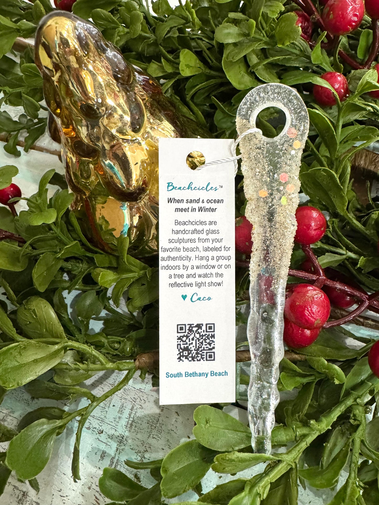 South Bethany Beach Beachcicle