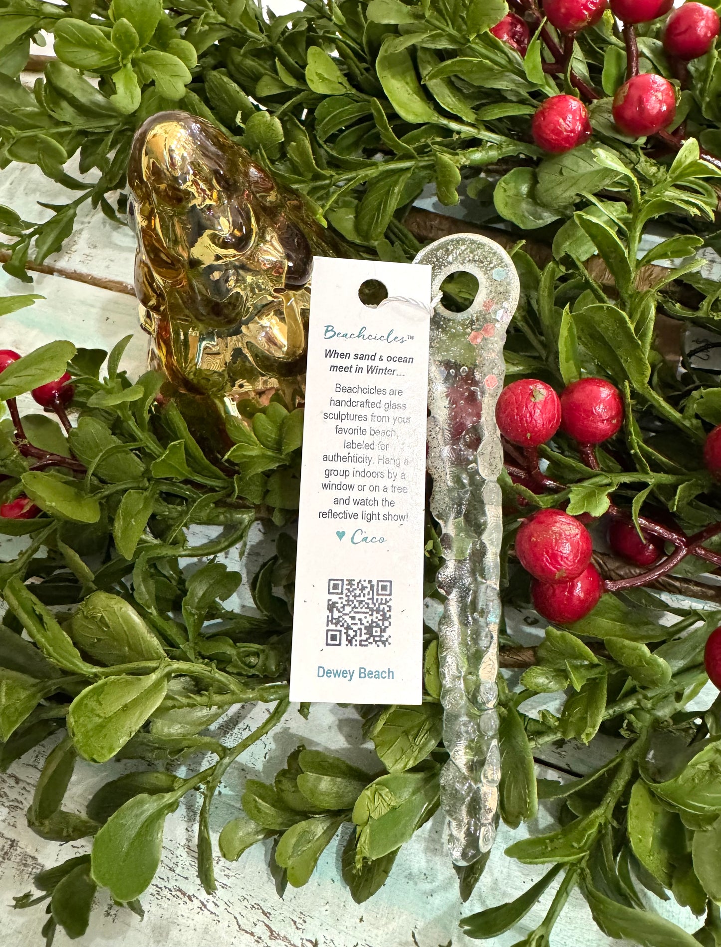 Dewey Beach Beachcicle