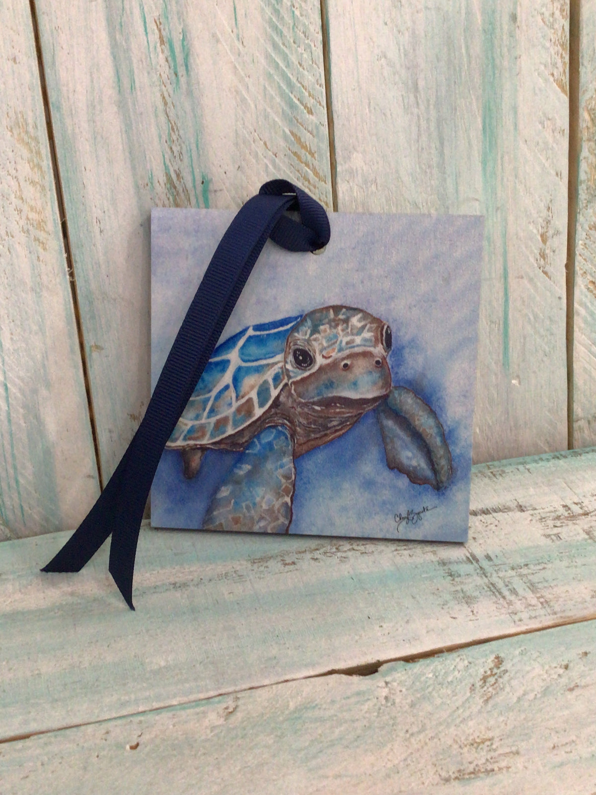 Baby Turtle Drift Wood Ornament