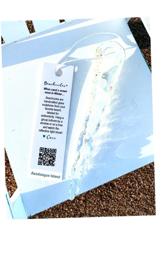 Assateague Island Beachcicle