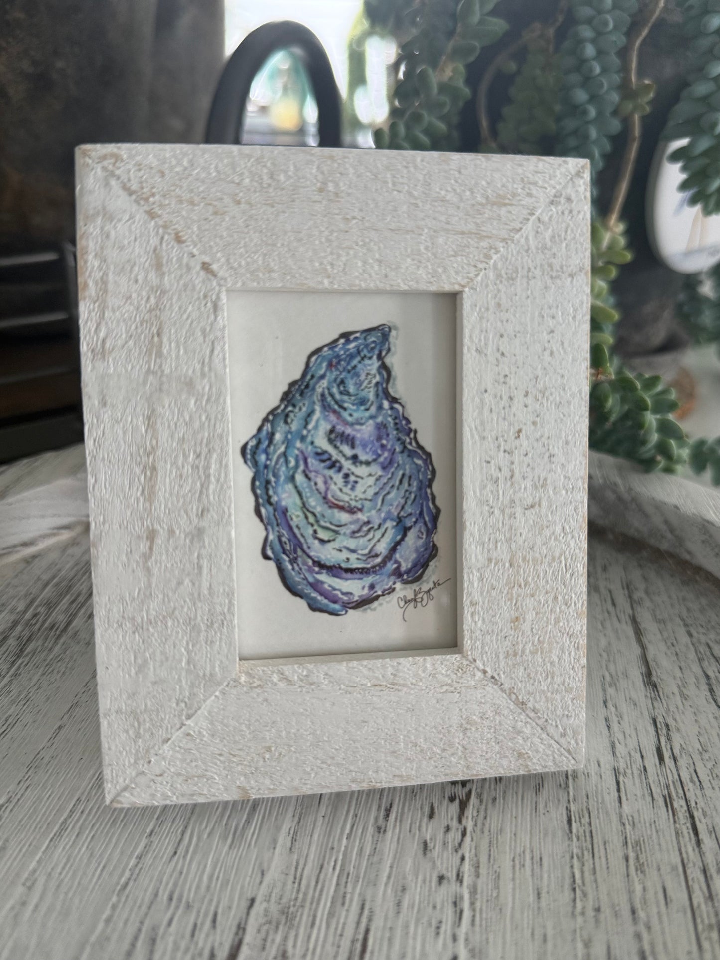 Fancy Oyster Exterior Mini