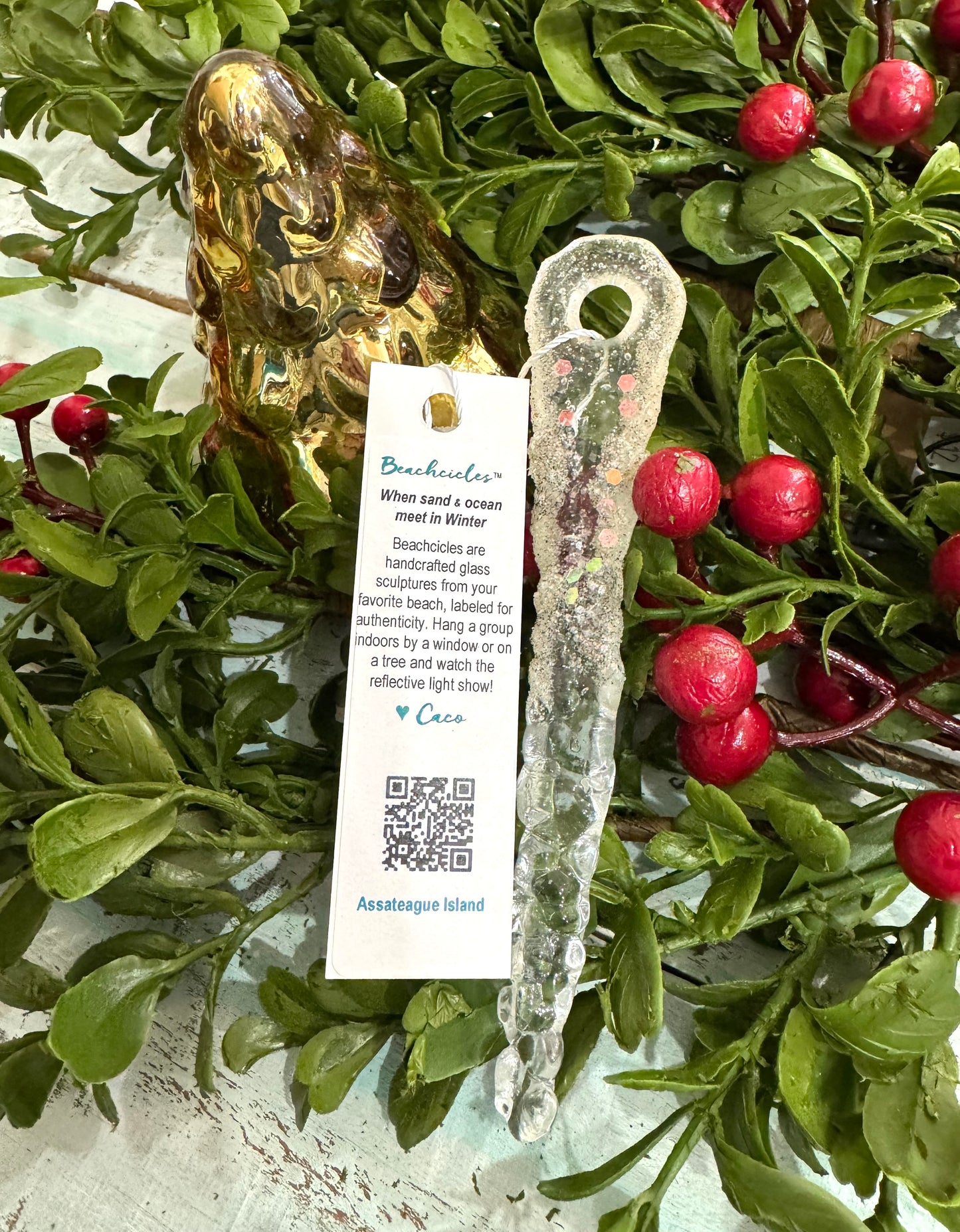 Assateague Island Beachcicle