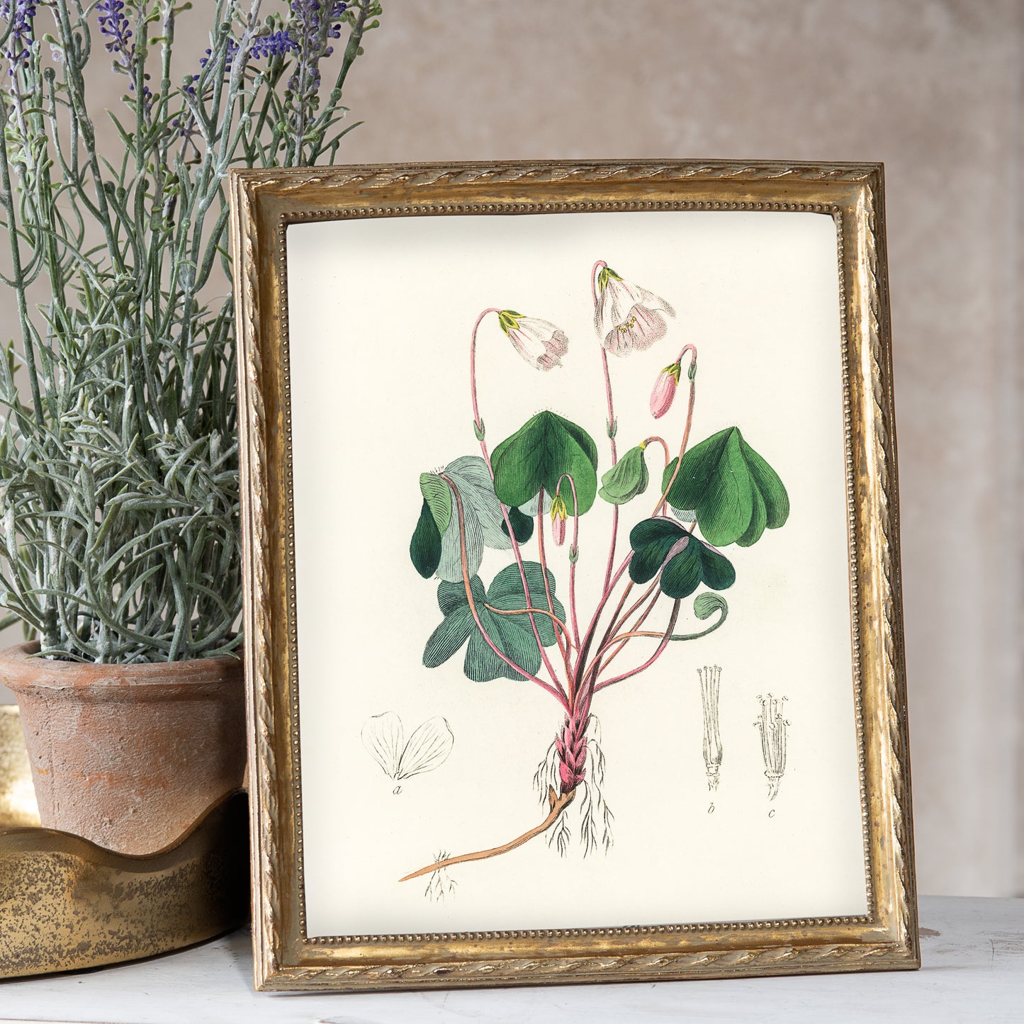 8x10 Gold Twist Photo Frame