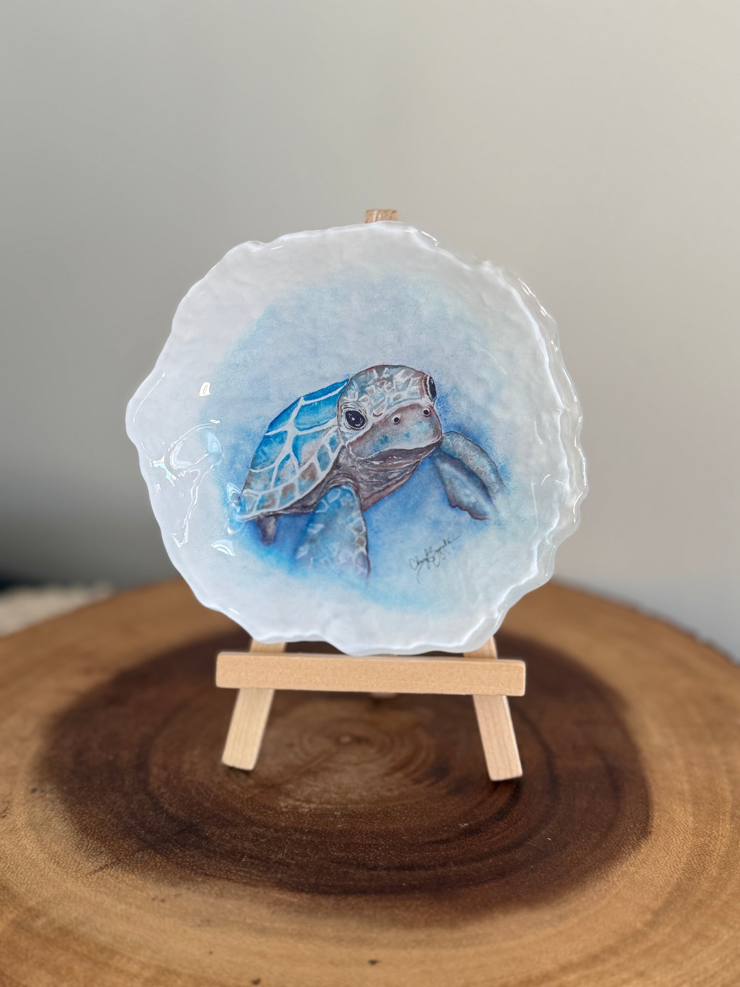 Baby Turtle Drift 5" Trinket Dish from C.Zapata Art