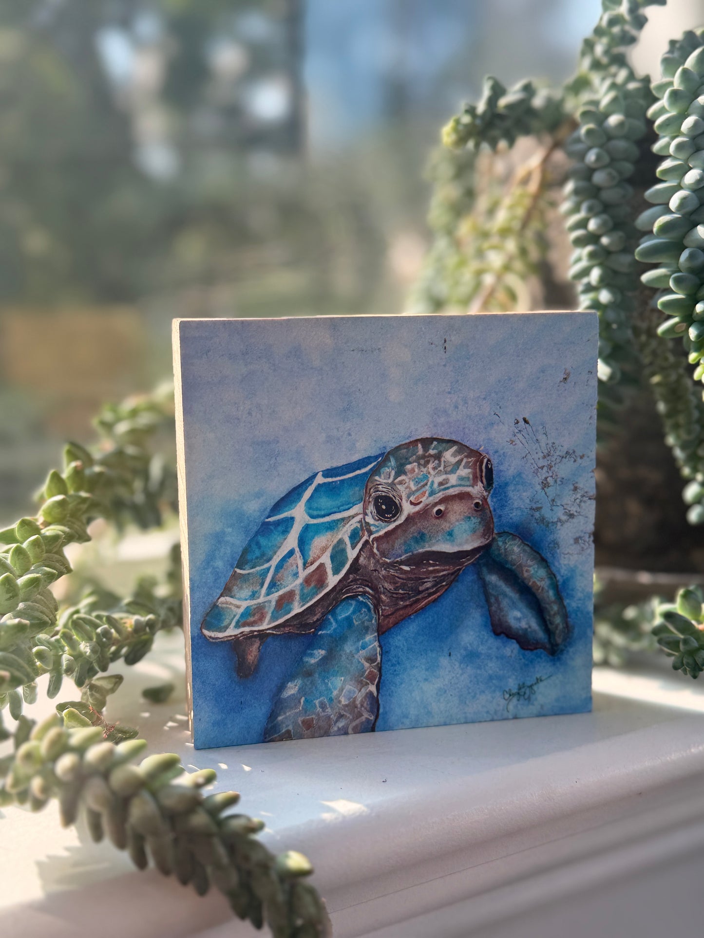 Baby Turtle 4x4 Wood Block