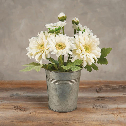 Gerbera Daisy Planter