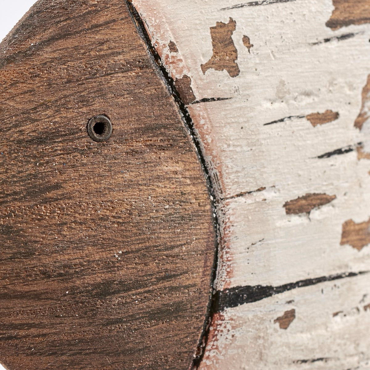 Butterfly Fish Sitter