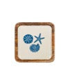 Square Blue Shell Serving Tray