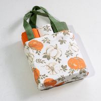 3 PC Fall Pumpkin Towel w/Bag