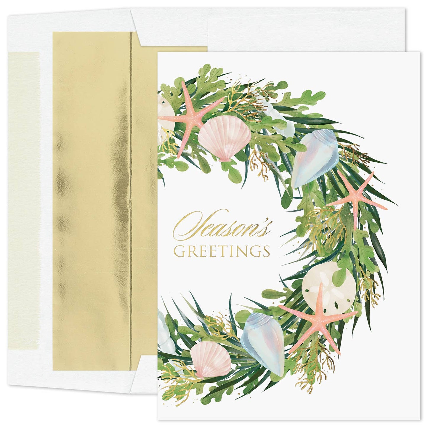 Starfish Greetings Boxed Holiday Cards