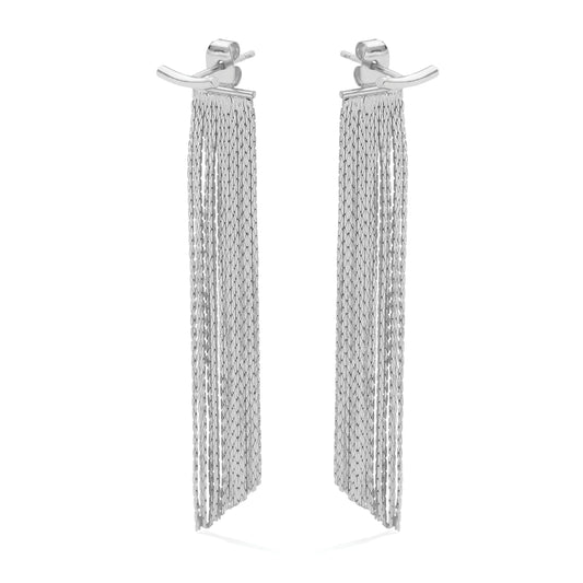 Silver Back Accented Long Earrings