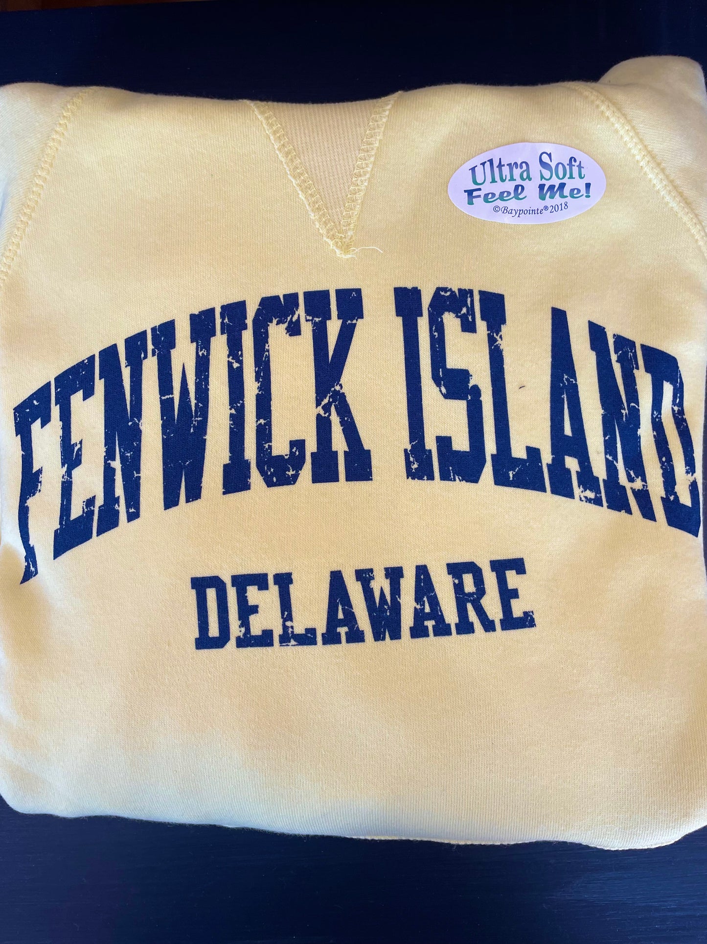 Fenwick Island Delaware Hoodie Sweatshirt