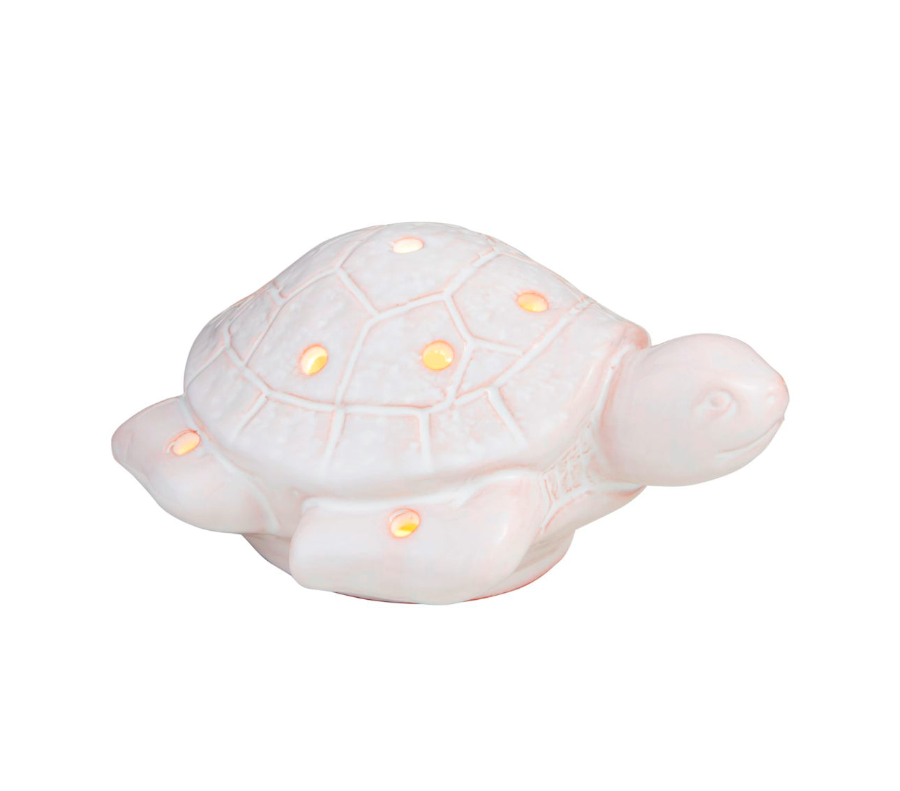 Sea Turtle Light-Up Sitter