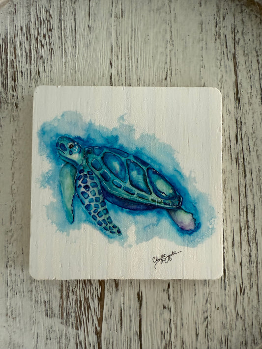 B/G Turtle (on white) Wooden Coaster by Cheryl Zapata Art