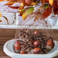 Bag Of Acorns And Pinecones
