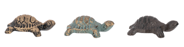 Mini Iron Turtle