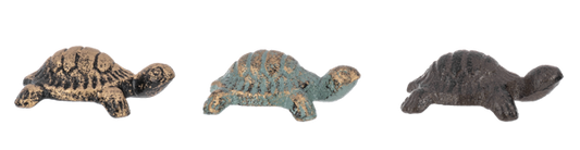 Mini Iron Turtle