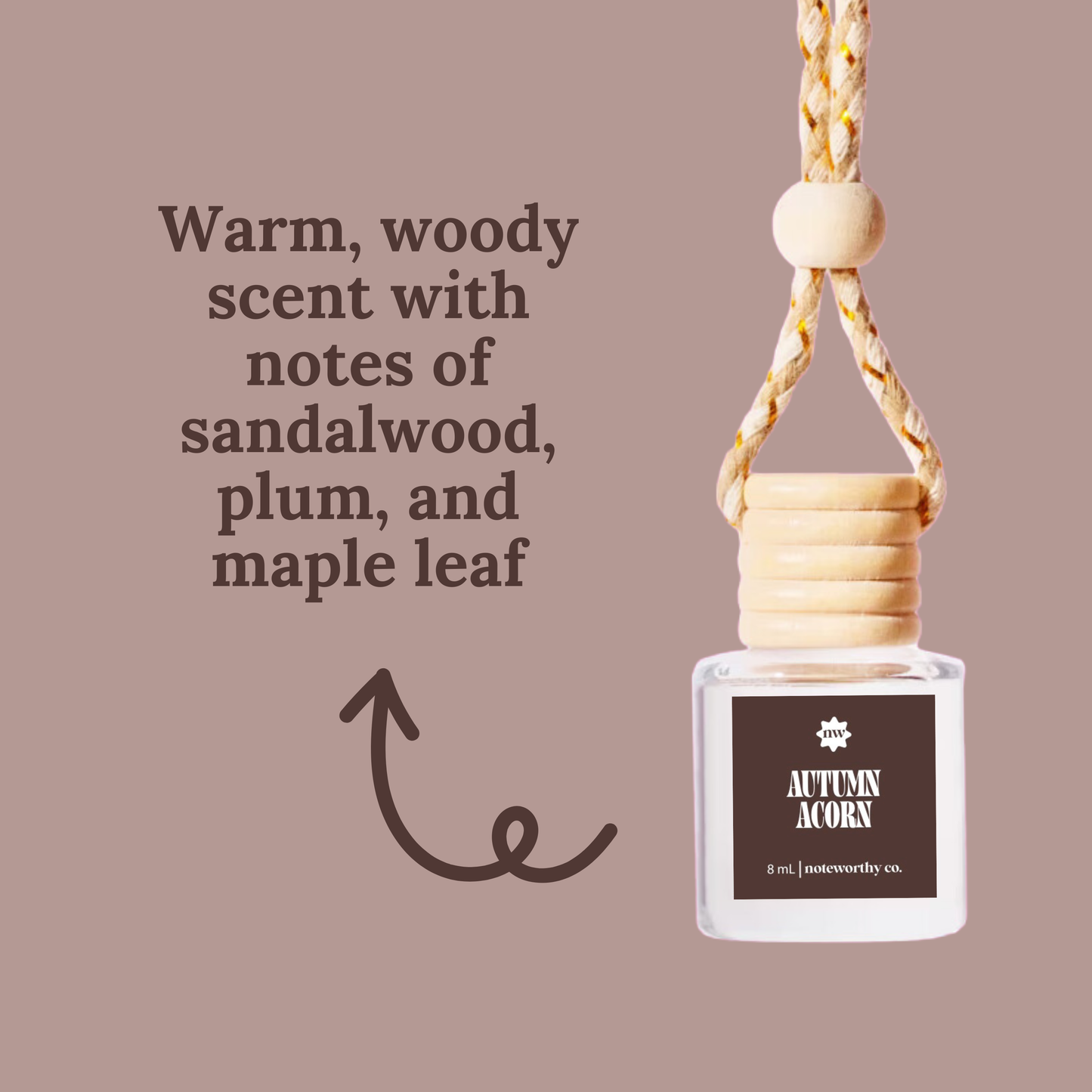 Car Diffusers | Fall Scents (NEW 2026)