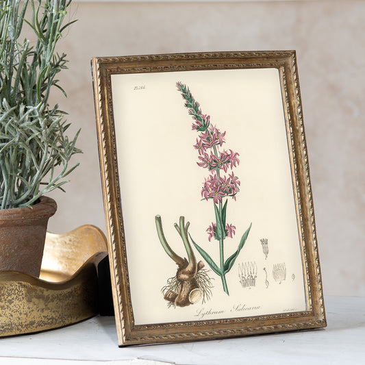 6x8 Gold Twist Photo Frame