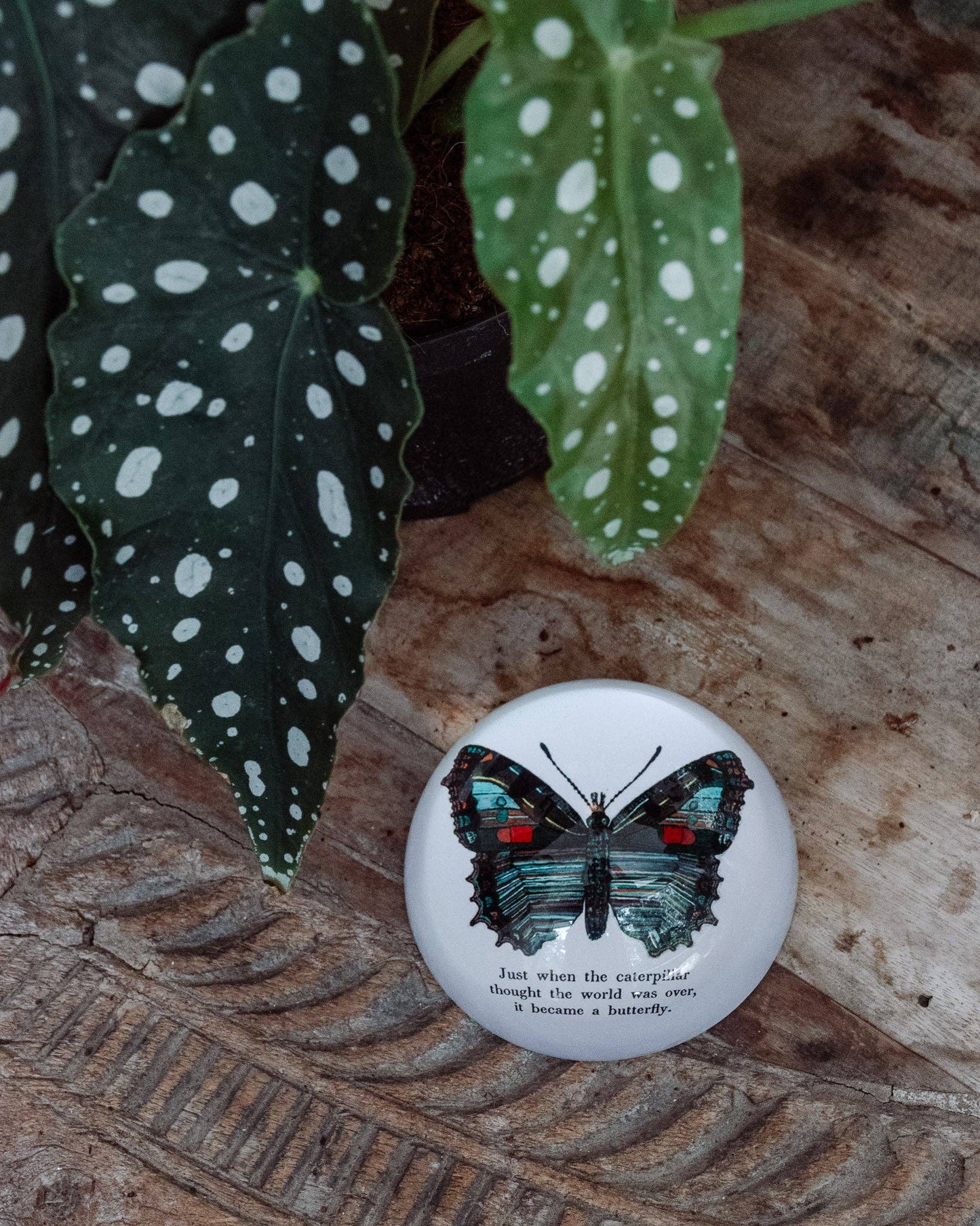 Butterfly Paperweight