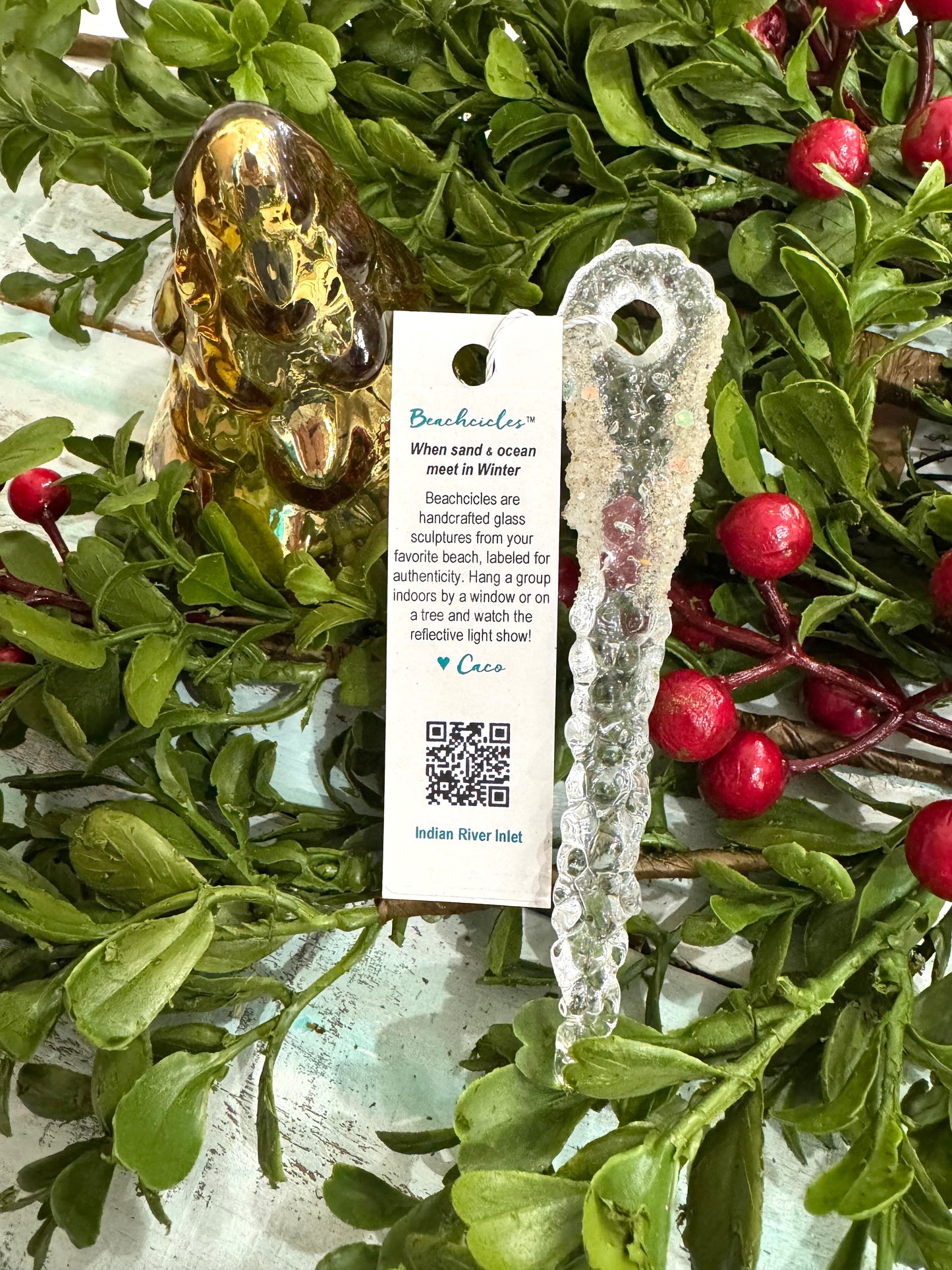 Indian River Inlet Beachcicle