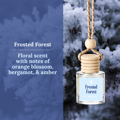 Car Diffusers | Holiday & Winter Scents (NEW 2026)