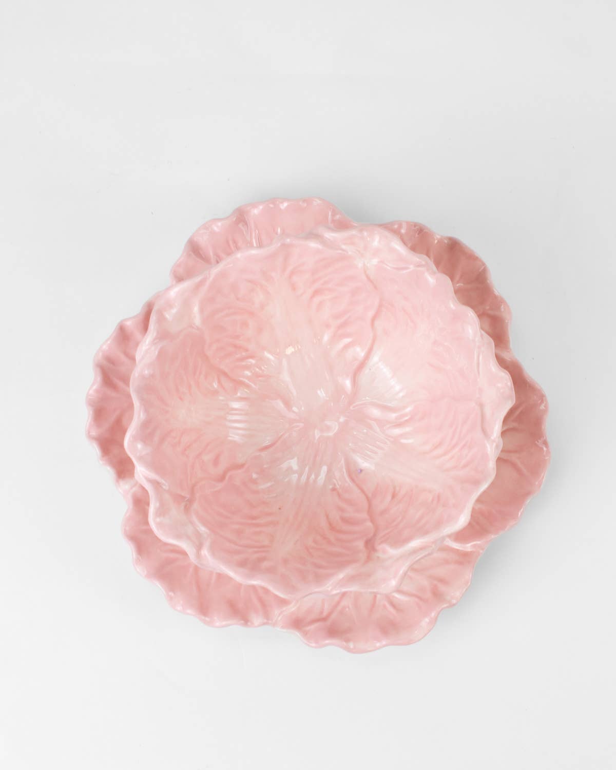 Light Pink Cabbage Bowl