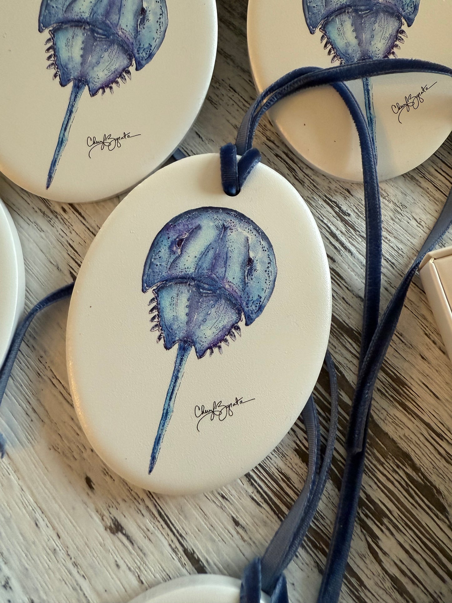 Pen/Ink Horseshoe Crab Ornament