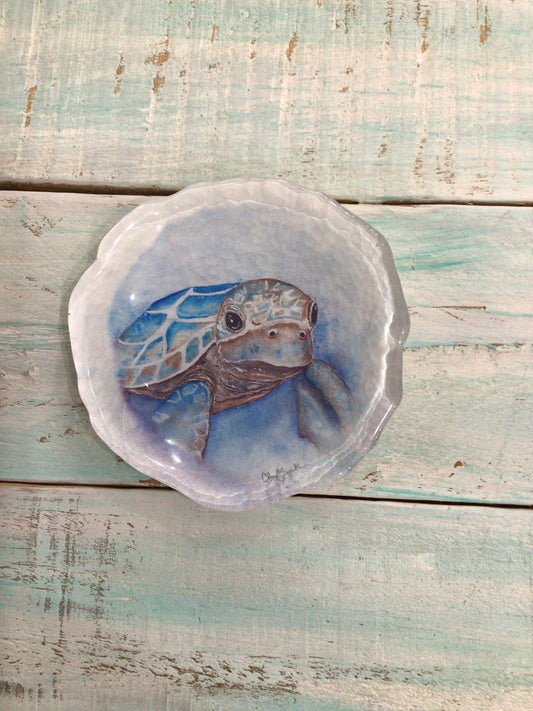 Baby Turtle Drift Trinket Dish from C.Zapata Art