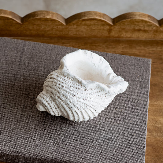 5.5"L White Weathered Conch Shell