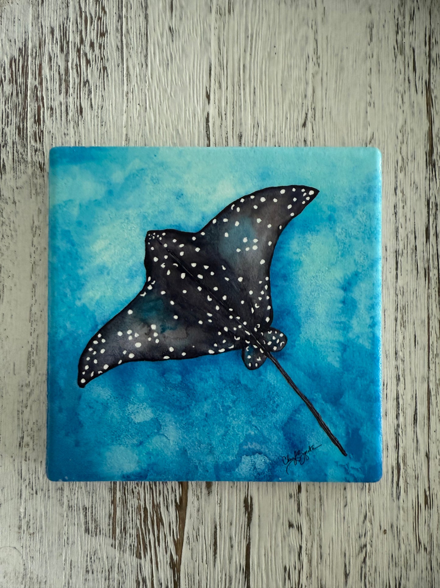 Eagle Ray Square Ceramic Coaster by Cheryl Zapata Art