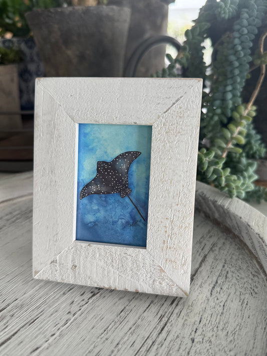 Eagle Ray Mini