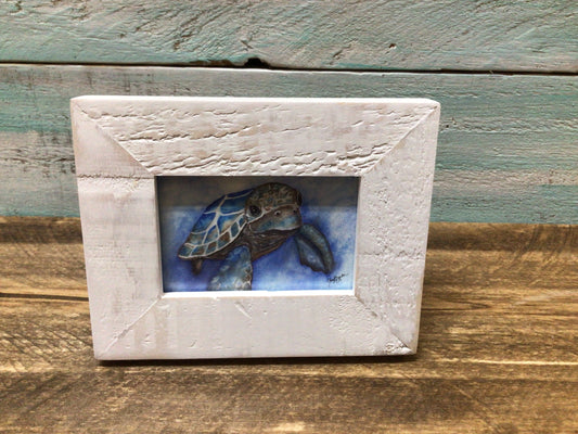 Baby Turtle Drift Mini Art by Cheryl Zapata