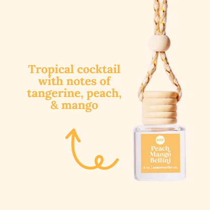 Car Diffusers Everyday Scents