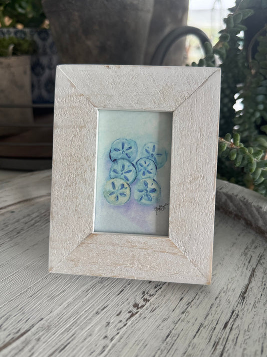 Multi Sanddollar Mini