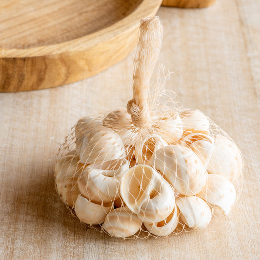 Nautilus Style Sea Shells in Bag