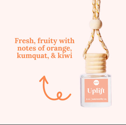 Car Diffusers Everyday Scents