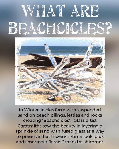 Limited Edition Beachcicle Collaboration