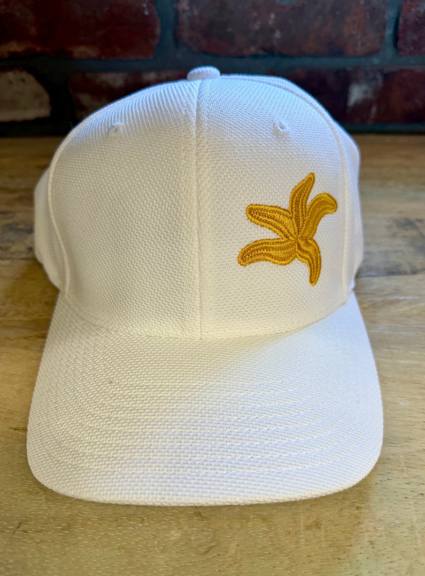 Embroidered Prancing Starfish Hat