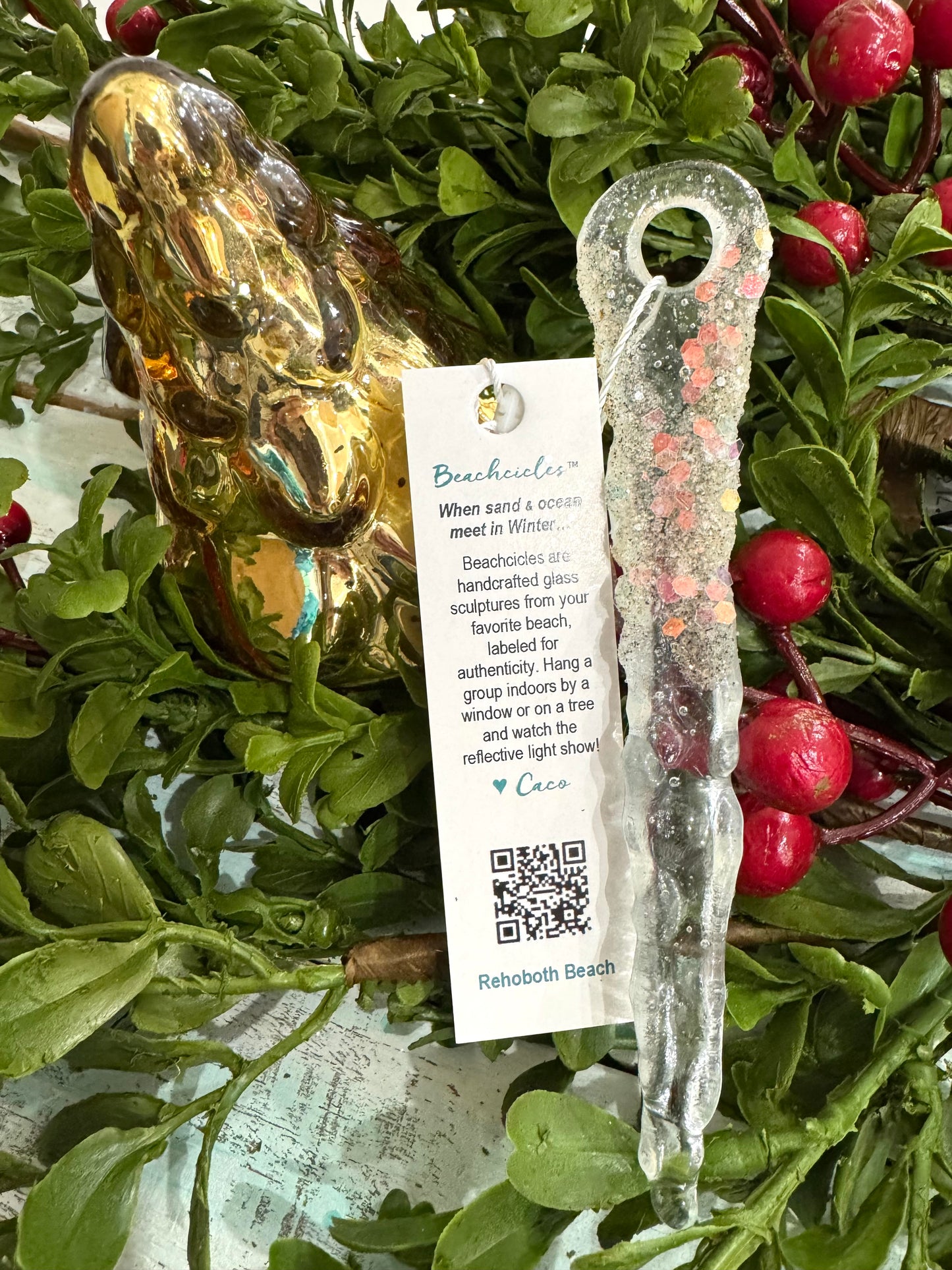 Rehoboth Beach Beachcicle