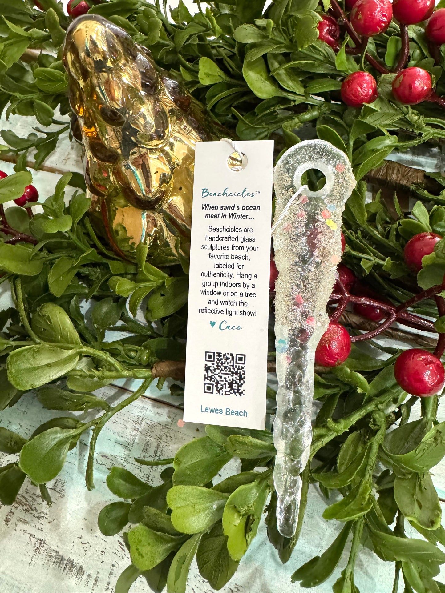 Lewes Beach Beachcicle