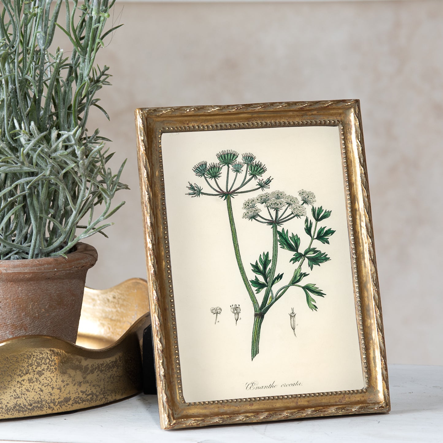 5x7 Gold Twist Photo Frame