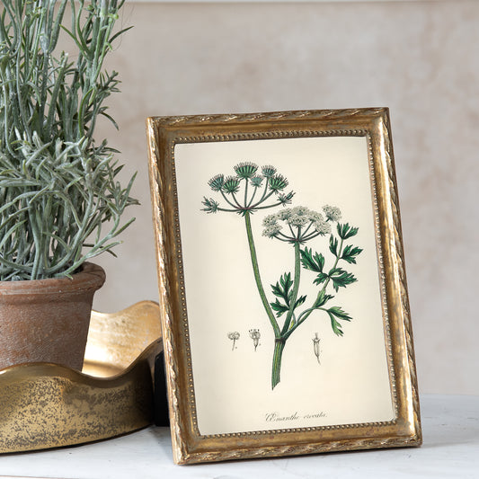 5x7 Gold Twist Photo Frame