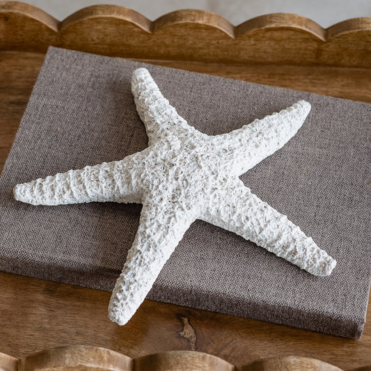 10.5"L White Weathered Starfish
