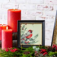 6 X 6 Cardinal Photo Frame